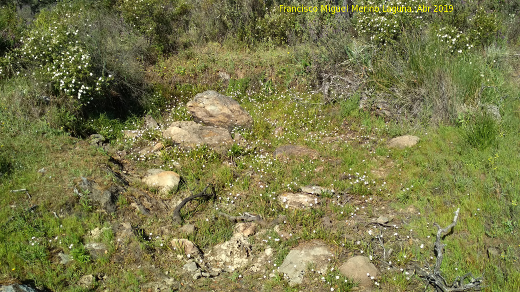 Dlmenes de los Gabrieles - Dlmenes de los Gabrieles. Posible dolmen