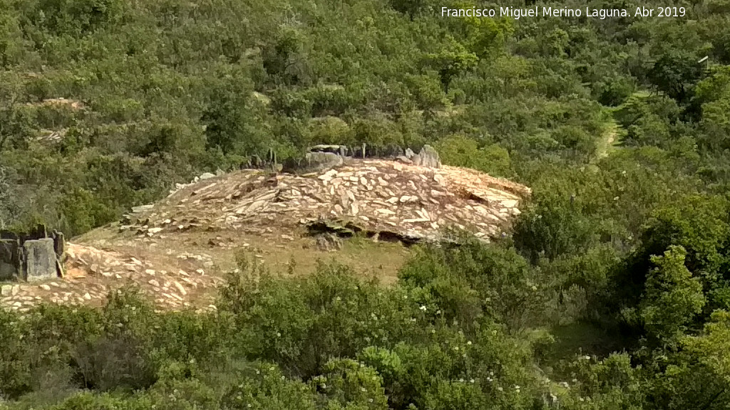 Dolmen del Pozuelo III - Dolmen del Pozuelo III. 