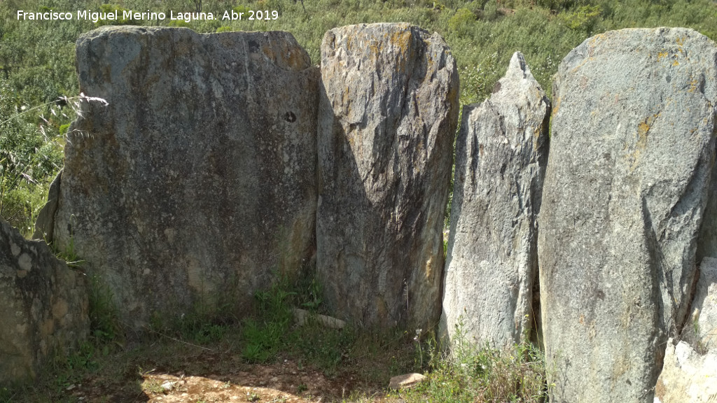 Dolmen del Pozuelo IV - Dolmen del Pozuelo IV. Ortostatos del final de la cmara