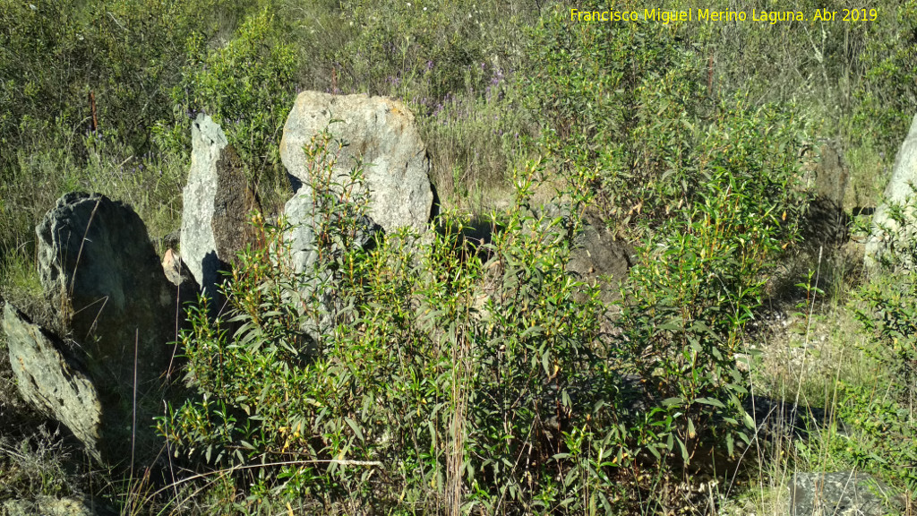 Dolmen del Pozuelo VIII - Dolmen del Pozuelo VIII. 