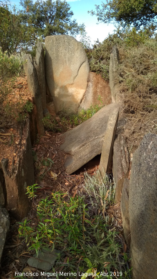 Dolmen de El Labradillo - Dolmen de El Labradillo. 