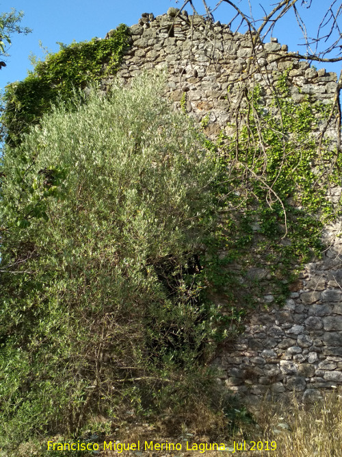 Ermita del Pla de Petracos - Ermita del Pla de Petracos. 