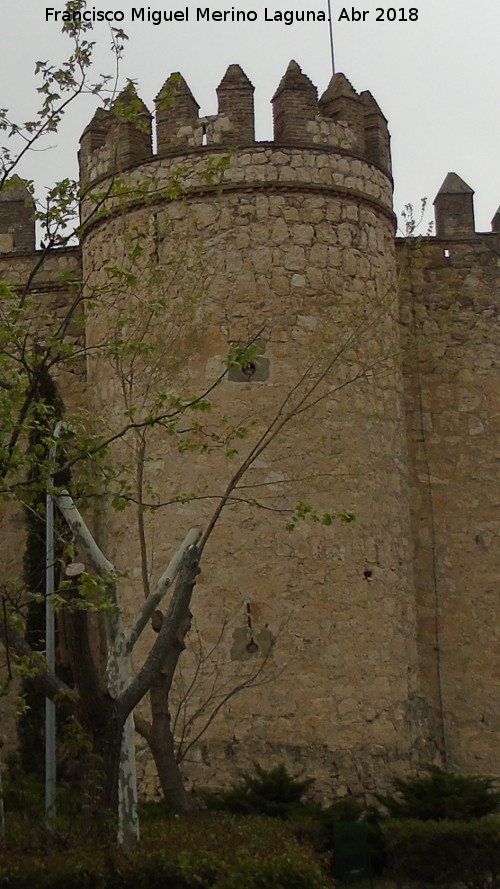 Castillo de la Vela - Castillo de la Vela. Torren circular
