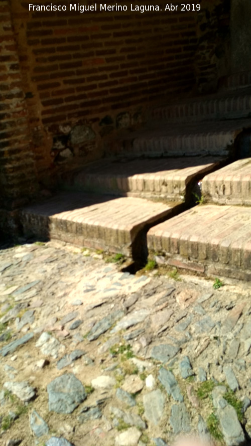 Mezquita Omeya - Mezquita Omeya. Acequia de desage