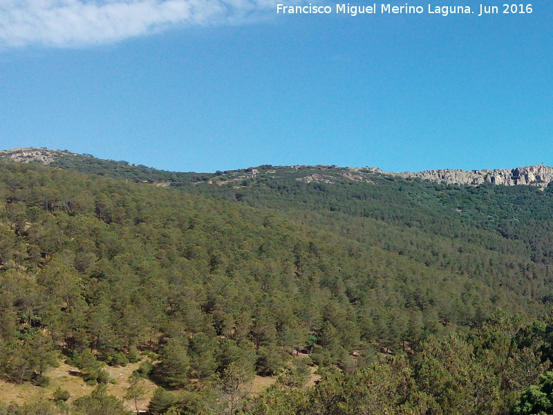 Collado de la Estrella - Collado de la Estrella. 