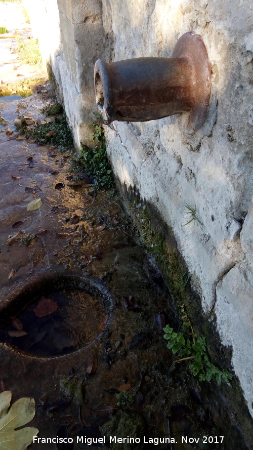 Fuente de la Alameda - Fuente de la Alameda. Cao