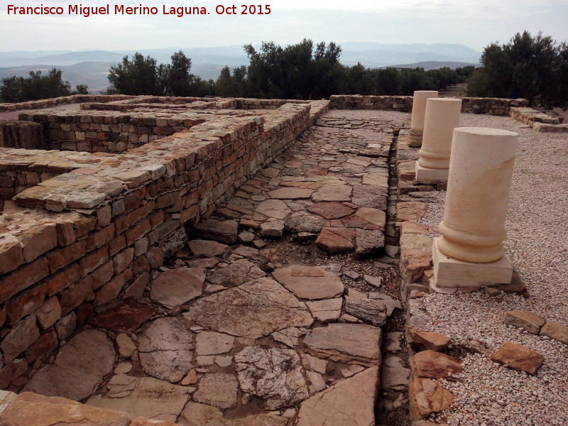 Torreparedones. Macellum - Torreparedones. Macellum. Columnas