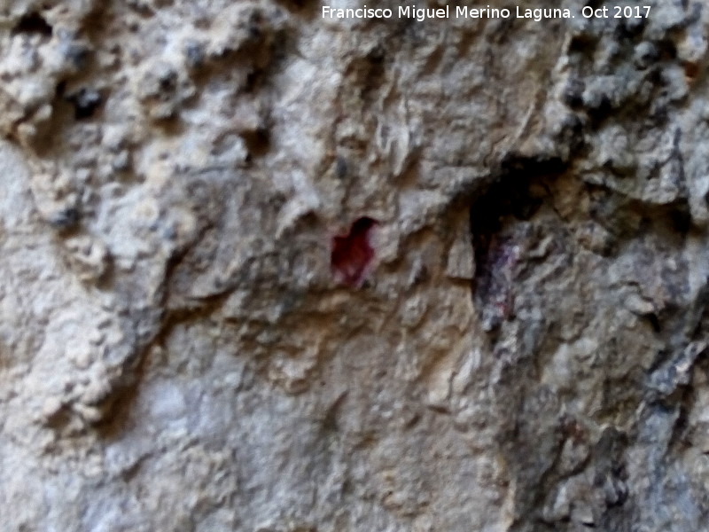 Pinturas rupestres de la Cueva del Fraile I - Pinturas rupestres de la Cueva del Fraile I. Hendidura pintada de rojo