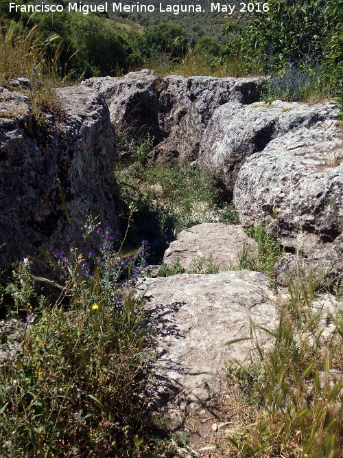 Escalera tallada de Mirabueno - Escalera tallada de Mirabueno. 