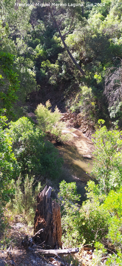 R�o Aguasmulas - R�o Aguasmulas. 