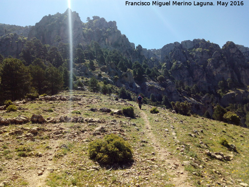 Collado de Roblehondo - Collado de Roblehondo. El Banderillas desde el Collado de Roblehondo