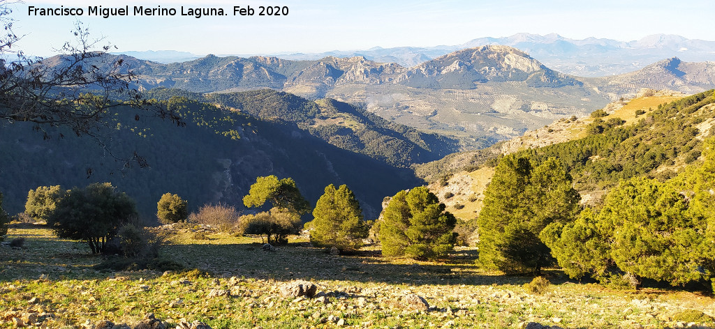 Collado Zamora - Collado Zamora. Vistas