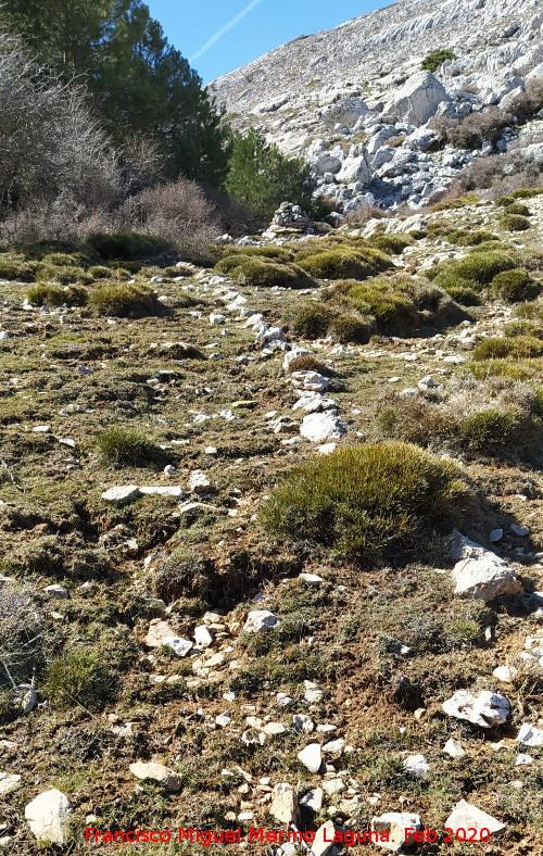 Camino del Poyo de las Palomas - Camino del Poyo de las Palomas. Restos del antiguo camino en su parte alta