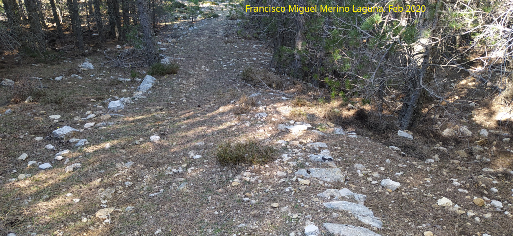 Camino del Poyo de las Palomas - Camino del Poyo de las Palomas. Camino antiguo