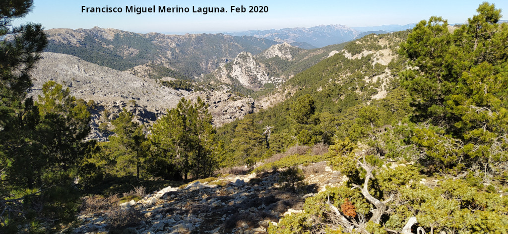 Barranco de la Ca�ada de las Fuentes - Barranco de la Ca�ada de las Fuentes. Desde la Loma de Cagasebo