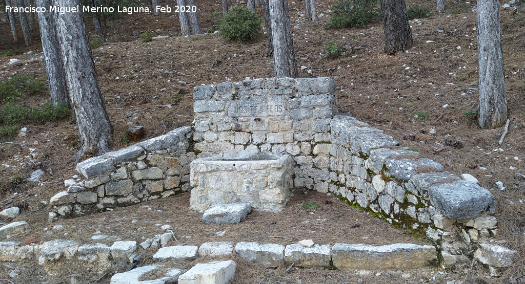 Fuente de los Tejuelos - Fuente de los Tejuelos. 