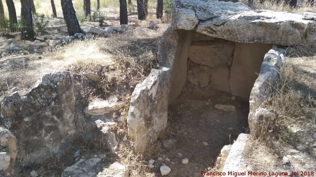 Dolmen XI - Dolmen XI. 