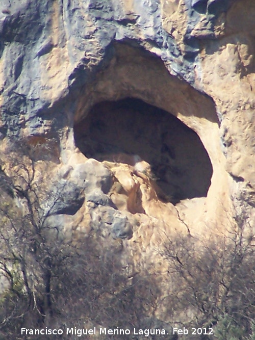 Pinturas rupestres de la Cueva del Sureste del Canjorro - Pinturas rupestres de la Cueva del Sureste del Canjorro. Cueva Sureste del Canjorro