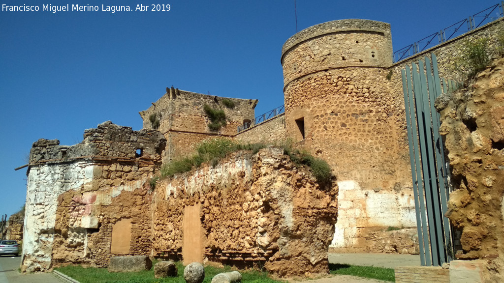 Castillo de los Guzmanes - Castillo de los Guzmanes. Lateral sur con su barbacana