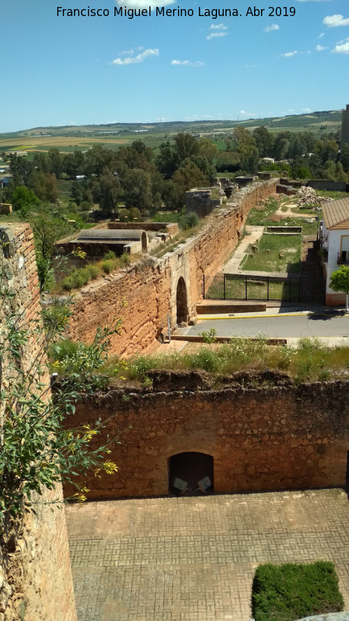 Castillo de los Guzmanes - Castillo de los Guzmanes. Vistas de la muralla este