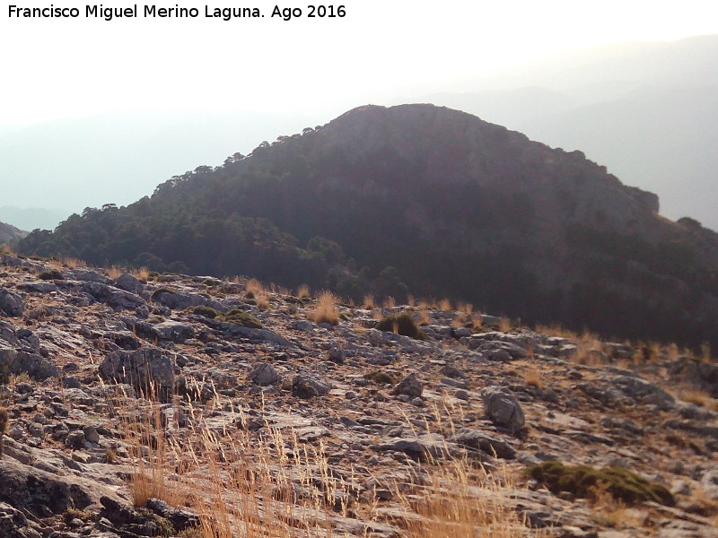 Alto de Pedro Miguel - Alto de Pedro Miguel. Desde el Blanquillo