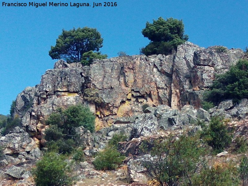 Pinturas rupestres del Abrigo de los Escolares - Pinturas rupestres del Abrigo de los Escolares. Pared rocosa donde se encuentra la cueva