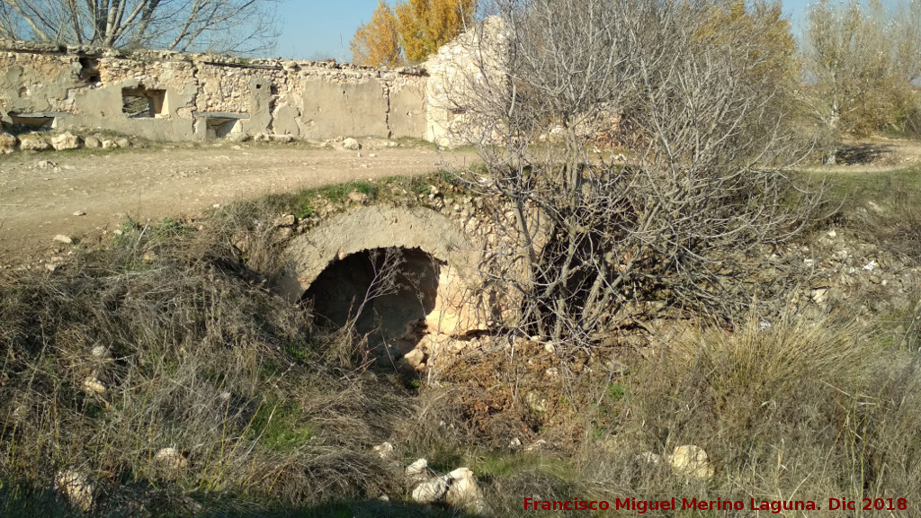 Molino Grin - Molino Grin. 