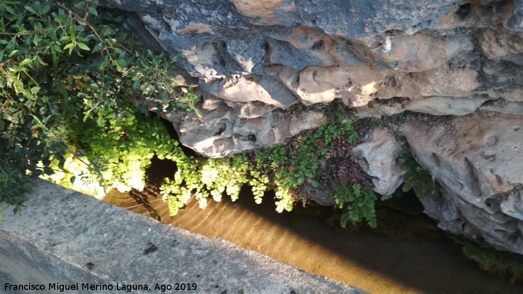 Fuente Dueas - Fuente Dueas. 