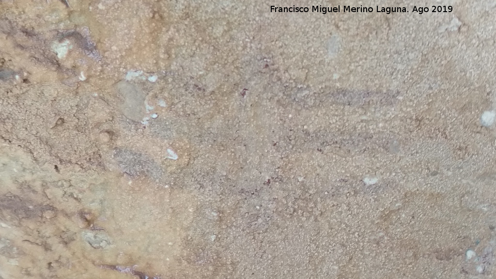 Pinturas rupestres y petroglifos Cueva del Clarillo - Pinturas rupestres y petroglifos Cueva del Clarillo. Ramiforme