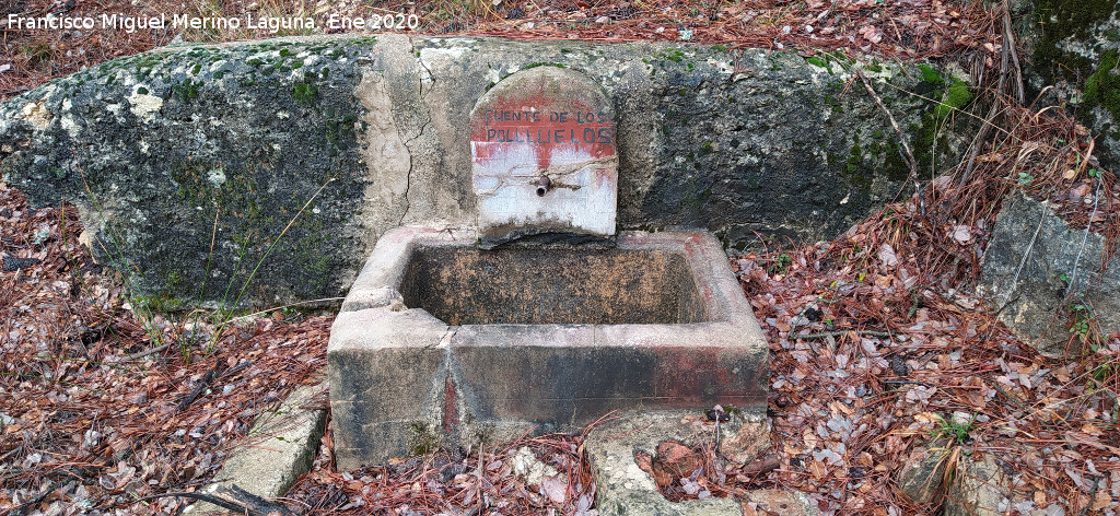 Fuente de los Polluelos - Fuente de los Polluelos. 