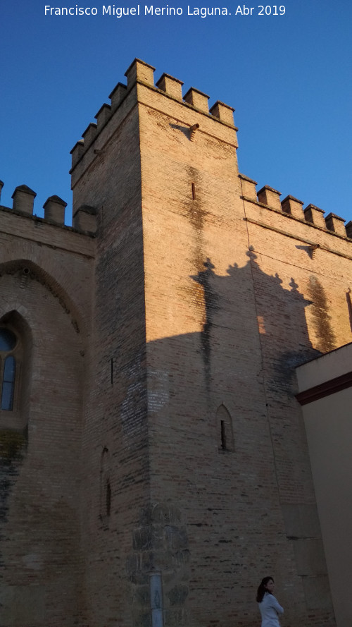 Castillo de Trigueros - Castillo de Trigueros. 