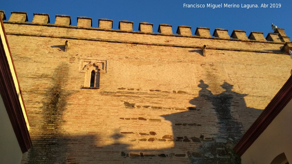 Castillo de Trigueros - Castillo de Trigueros. 