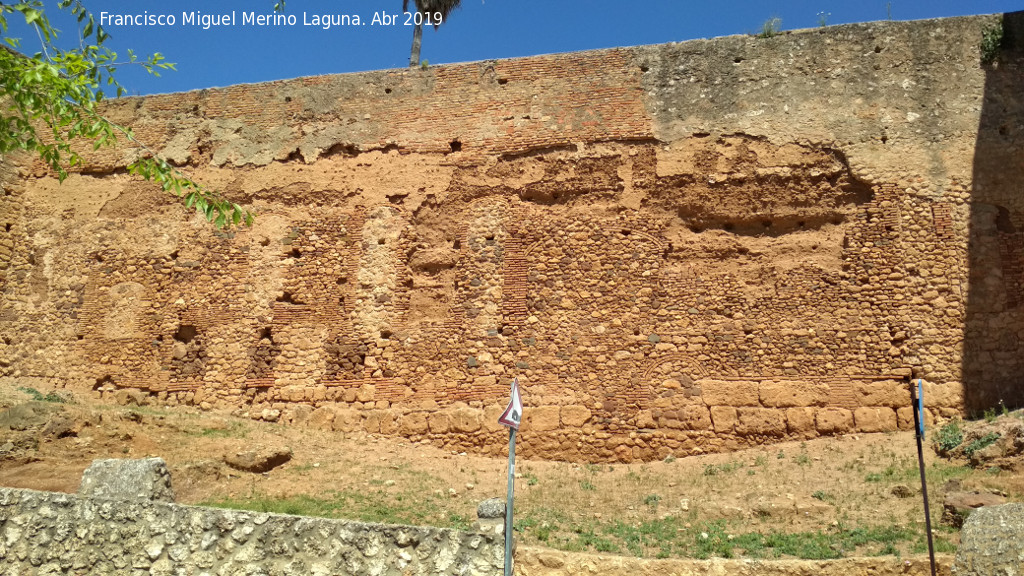 Muralla de Niebla. Puerta del Buey - Muralla de Niebla. Puerta del Buey. Lienzo de muralla entre la Torre Sur IX y la puerta