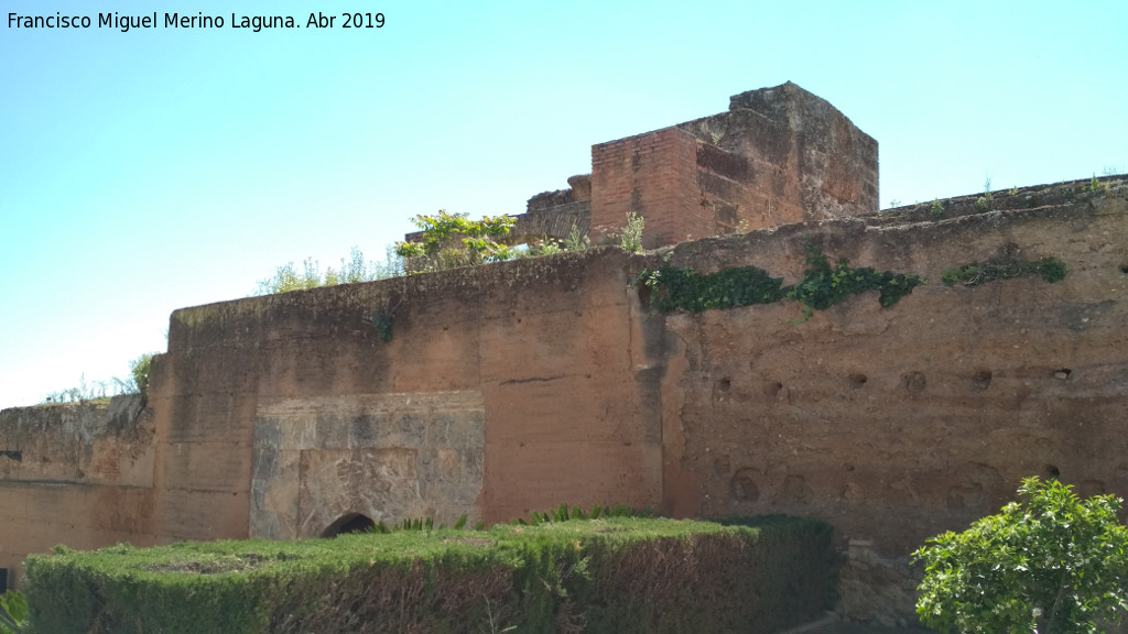 Muralla de Niebla. Puerta del Buey - Muralla de Niebla. Puerta del Buey. Intramuros