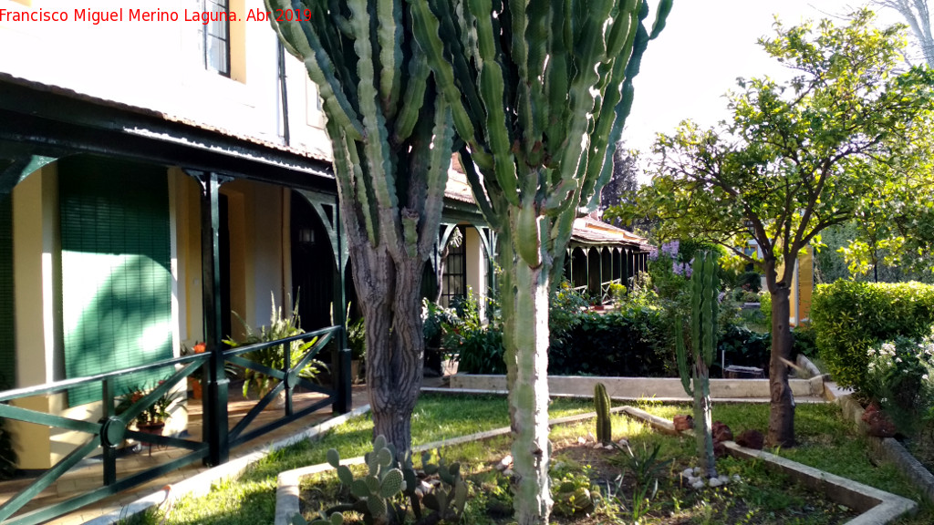 Barrio Victoriano de Bellavista - Barrio Victoriano de Bellavista. Jardn delantero de las casas