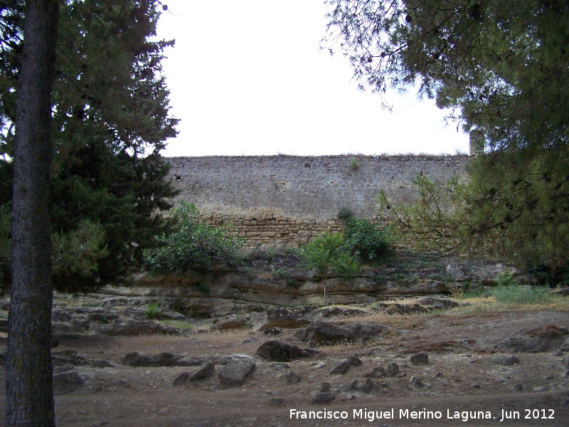 Muralla de Sabiote - Muralla de Sabiote. Muralla Norte extramuros