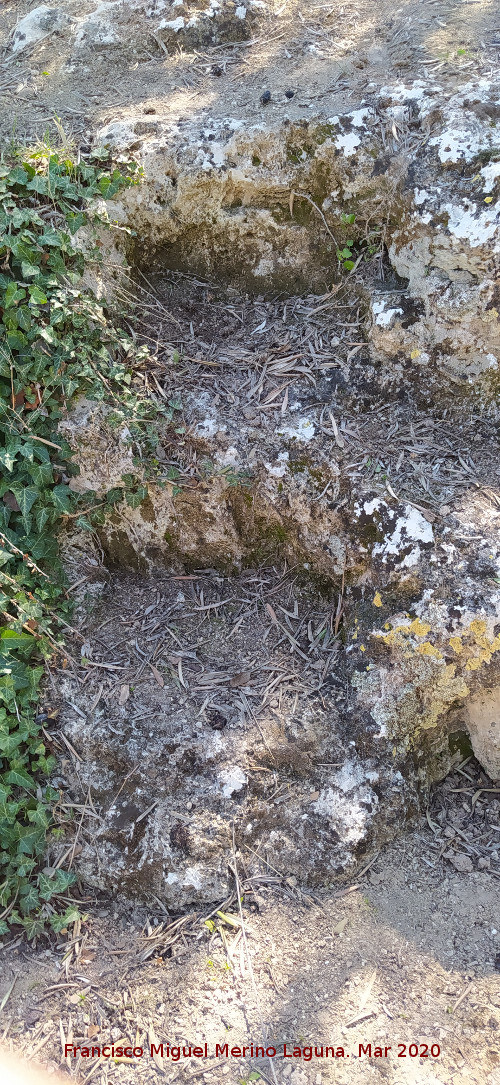 Cueva de la Zorra - Cueva de la Zorra. Escaleras talladas