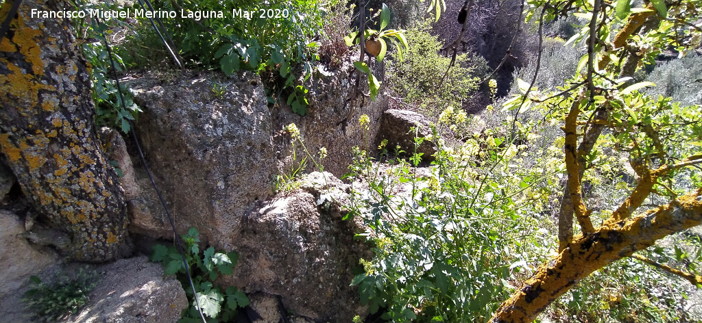 Cueva de la Zorra - Cueva de la Zorra. Banco tallado