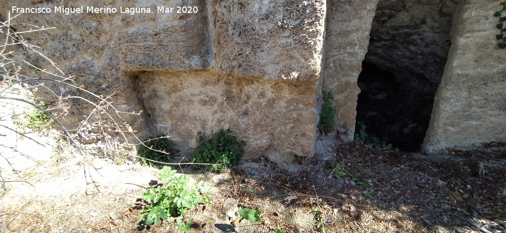 Cueva de la Zorra - Cueva de la Zorra. Z�calo tallado