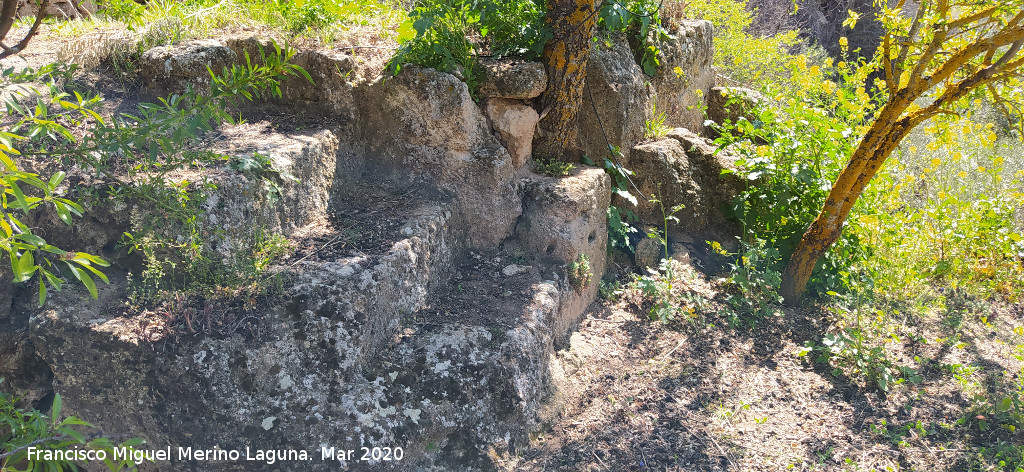Cueva de la Zorra - Cueva de la Zorra. Escaleras talladas