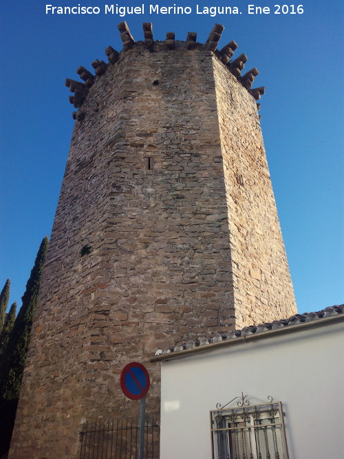 Castillo de las Torres Oscuras - Castillo de las Torres Oscuras. Torre Ochavada