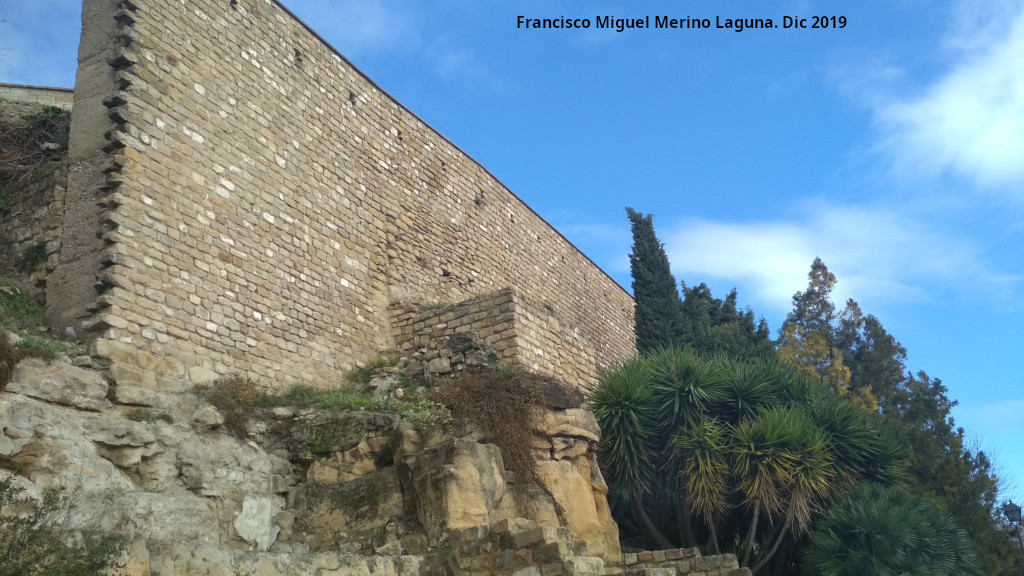 Torre�n de Saludeja V - Torre�n de Saludeja V. 