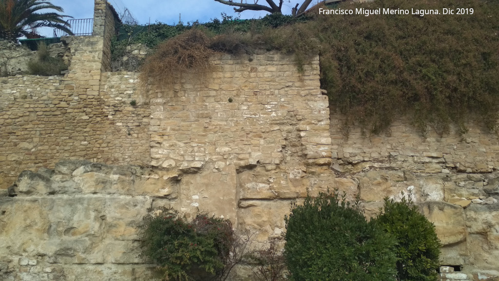 Torre�n de Saludeja III - Torre�n de Saludeja III. 