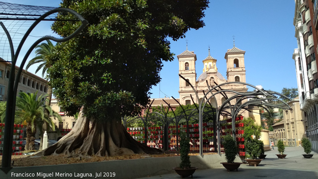 Plaza de Santo Domingo - Plaza de Santo Domingo. 