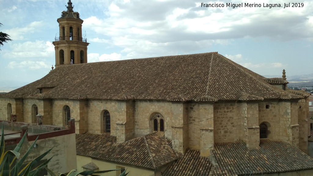 Iglesia Mayor - Iglesia Mayor. Cubierta