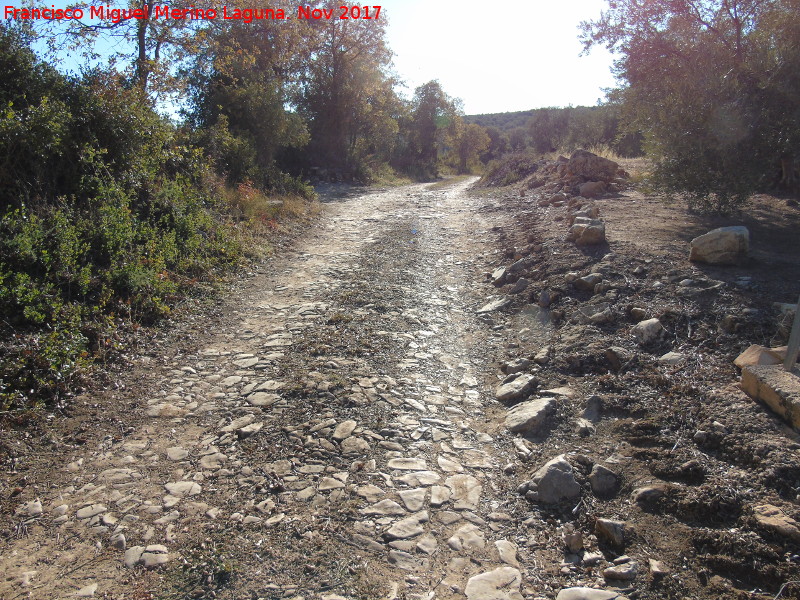 Calzada de San Marcos - Calzada de San Marcos. 