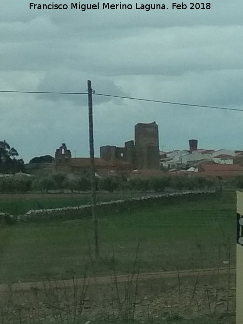 Castillo de Villagarca de la Torre - Castillo de Villagarca de la Torre. 