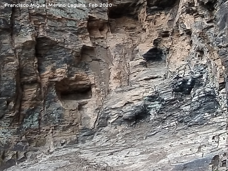 Pinturas rupestres del Abrigo del Guadal�n II - Pinturas rupestres del Abrigo del Guadal�n II. Abrigo y hornacina