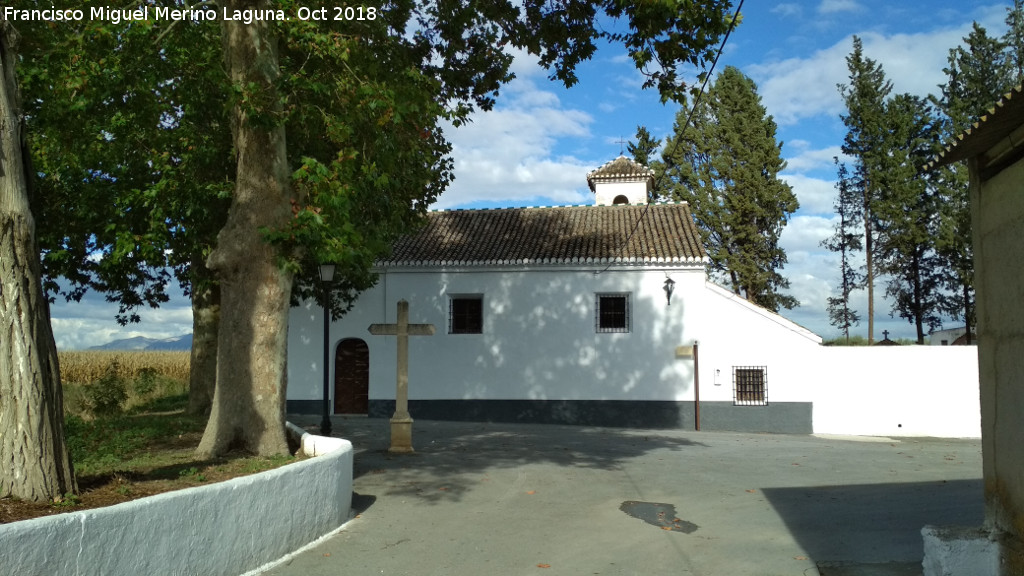 Iglesia de la Virgen del Rosario - Iglesia de la Virgen del Rosario. 