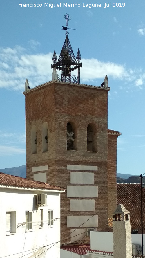 Iglesia de San Martn - Iglesia de San Martn. Campanario